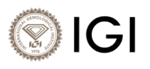 igi logo